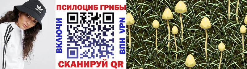 Купить где  Коммунар  Галлюциногенные грибы прущие грибы 
